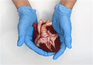 حسام موافي يكشف حقيقة غريبة عن قلب الإنسان