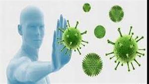 5 أطعمة تساعد على تقوية المناعة.. تناولها 