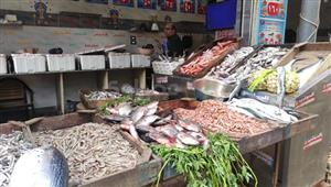 بالفيديو والصور- إقبال على الأسماك في البحيرة بعد ارتفاع أسعار اللحوم والدواجن