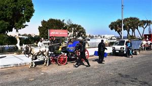 بالصور- محافظ أسوان يضبط عربات حنطور مخالفة على الكورنيش