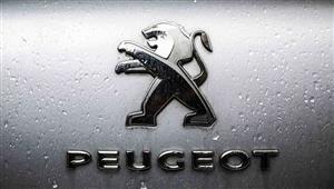 هل اقتربت بيجو من بناء مصنعها في مصر؟