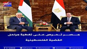 نجحت في وقف إطلاق النار بغزة 5 مرات.. جهود مصر لدعم القضية الفلسطينية