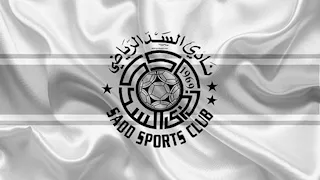 السد يتوج بلقب دوري نجوم قطر رسميًا