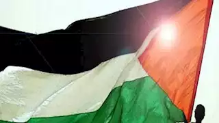 "الاشتراكي الفرنسي" يدعو لرفع العلم الفلسطيني على كل البلديات