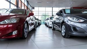 ضبط 11 سيارة خاصة بالمعاقين داخل معرض في الفيوم