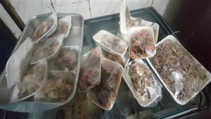 الجيزة: ضبط 8 أطنان لحوم مذبوحة خارج المجازر ومقطعات دواجن فاسدة