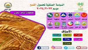انفوجرافيك| الخريطة الصنفية لمحصول القمح.. أفضل الأصناف لكل محافظة