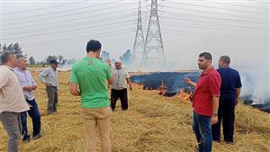 البيئة: جولات بمواقع قش الأرز بمحافظات البحيرة والدقهلية والقليوبية