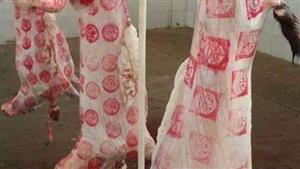 ما هي خطة وزارة التموين لتوفير اللحوم بأسعار مناسبة قبل رمضان؟