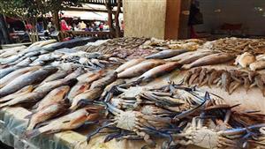 ارتفاع الجمبري والكابوريا وانخفاض السبيط في سوق العبور اليوم السبت