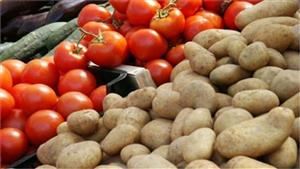 8 جنيهات لكيلو الطماطم بسوق الجملة اليوم الاثنين