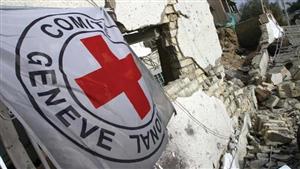 حددها متحدث "الصليب الأحمر".. عقبة أمام نقل الأطفال الخدج من غزة إلى مصر "فيديو"