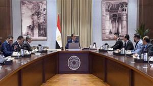 مصنع لإنتاج الهيدروجين الأخضر في مصر.. تفاصيل لقاء مدبولي ورئيس "لونجي" الصينية