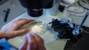 لأول مرة في العالم ... المملكة المتحدة توافق على علاج التعديل الجيني "كريسبر"