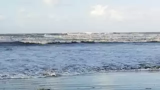 إنذار بحري.. الأرصاد تحذر سكان 4 محافظات من ارتفاع الأمواج