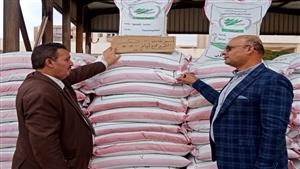 الزراعة تتابع توزيع تقاوي القمح  والمحاصيل الشتوية في وادى النطرون والنوبارية 