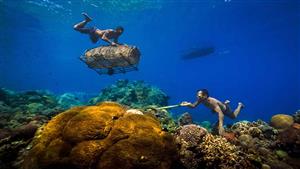 20 صورة تحبس الأنفاس.. الفائزون بمسابقة التصوير البيئي لعام 2023