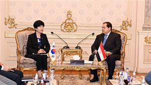 وكيل مجلس النواب يلتقي نائبة رئيس الجمعية الوطنية بكوريا الجنوبية