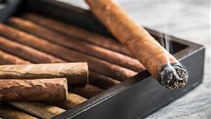 تصل إلى 5600 جنيه للعبوة.. تعرف على أسعار السيجار الجديدة