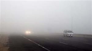 عشرات الوفيات والمصابين.. ماذا فعلت الشبورة في المنيا؟- فيديو