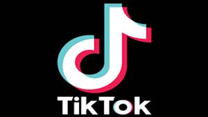 بعد ضبط عدد من البلوجرز.. هل يمكن حجب تيك توك في مصر وما التأثيرات؟