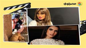 ميرهان حسين تداعب "الكلاب" ولقاء الخميسي في الجيم.. لقطات نجوم الفن في 24 ساعة