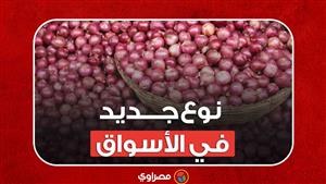 سعر البصل وصل 40 جنيها.. والحكومة تمنع تصديره وظهور نوع جديد في الأسواق
