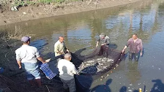 14 يوليو.. محاكمة مستريح الاستزراع السمكي بالعجوزة أمام الاقتصادية 