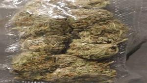 ضبط مخدرات بأكثر من مليون روبية وسلاح نارى في قطار بالهند