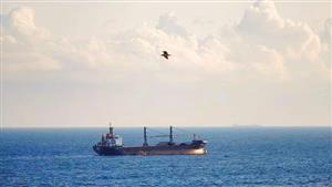 أمريكا تعلن عن عملية متعددة الجنسيات لحماية التجارة بالبحر الأحمر بقيادتها