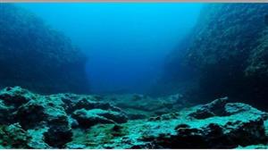 هل تختبئ كائنات فضائية في المحيطات.. عالم يفجر مفاجأة