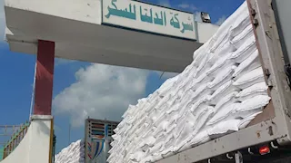المواد الغذائية: تصدير فائض السكر لا يؤثر على الأسعار ولكن يحمي الصناعة المحلية