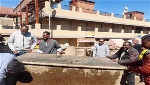 بالصور- نقل 32 بائع سمك للسويقة الجديدة في أسوان