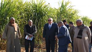 بالصور- محافظ قنا يشهد حصاد أول حقل إرشادي لمحصول قصب السكر