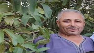 وفاة الضحية الثالثة في "حادث المحامين" بكفر الشيخ