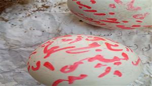 بيض بالطلاسم.. العثور على أعمال سحر ودجل داخل المقابر في كفر الشيخ - صور 