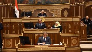 رئيس "حقوق إنسان الشيوخ" يستعرض تقرير ظاهرة العنف الأُسري