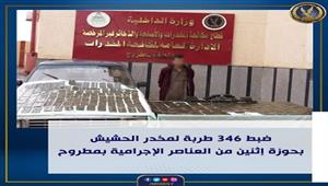  مخدرات بملايين.. الداخلية تحبط ترويج 346 طربة حشيش بمطروح