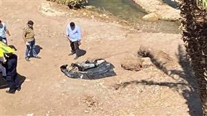 "ماكينة الدريس فرمتها".. تفاصيل مصرع سيدة أثناء "دريس" القمح بالعياط