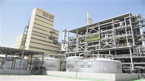 أستاذ بمعهد الأراضي: الأسمدة الأزوتية يمكن استخدامها في استصلاح الصحراء