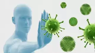 خبير يكشف 6 أطعمة تعزز المناعة وتقلل خطر الإصابة بالسرطان