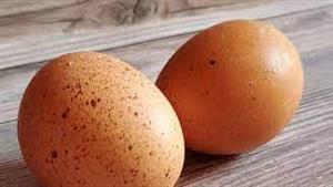   ما سبب البقع الغريبة على قشر البيض أحيانا؟