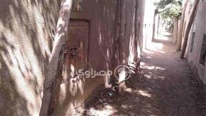  التفاصيل الكاملة لضبط "حرامية" بوابات المقابر في القليوبية