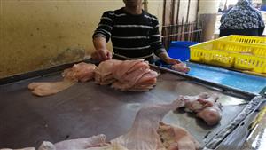 الإقبال ضعيف.. هبوط جديد بأسعار الفراخ في بنها بلد بورصة الدواجن أول يوم رمضان- فيديو وصور