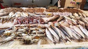 95 جنيها لكيلو البوري.. أسعار السمك في سوق العبور اليوم الأربعاء