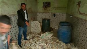 الجيزة: ضبط 1.2 طن دواجن نافقة داخل مخزن بالبدرشين