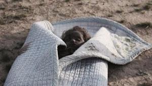 "دلق عليها ماء مغلي وعذبها".. أسرار مقتل طفلة على يد خالها وجدتها بأوسيم