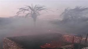 نفوق 16 رأس ماشية في حريق بإحدى قرى المنيا