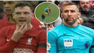 الدوري الإنجليزي الممتاز يوقف مساعد الحكم الذي اعتدى على روبرتسون