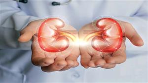 تغسل الكلى وتنظف الكبد.. مشروبات سحرية لجسمك في رمضان 